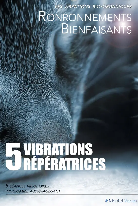 Mental Waves Ronronnement Guérisseur