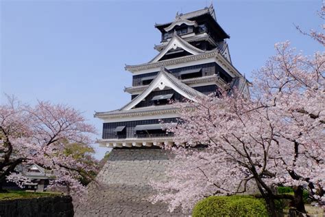  熊本城！雄大な歴史と美しい桜の競演！